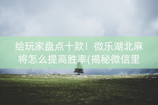 给玩家盘点十款！微乐湖北麻将怎么提高胜率(揭秘微信里自建房怎么赢)
