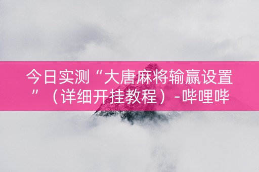 今日实测“大唐麻将输赢设置”（详细开挂教程）-哔哩哔哩