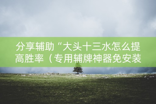 分享辅助“大头十三水怎么提高胜率（专用辅牌神器免安装）