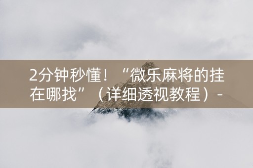 2分钟秒懂！“微乐麻将的挂在哪找”（详细透视教程）-哔哩哔哩