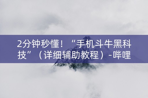 2分钟秒懂！“手机斗牛黑科技”（详细辅助教程）-哔哩哔哩