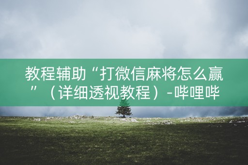 教程辅助“打微信麻将怎么赢”（详细透视教程）-哔哩哔哩