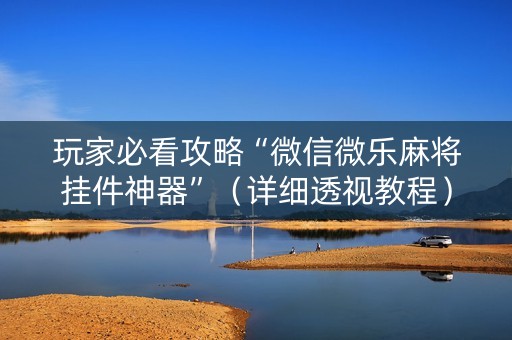 玩家必看攻略“微信微乐麻将挂件神器”（详细透视教程）-哔哩哔哩
