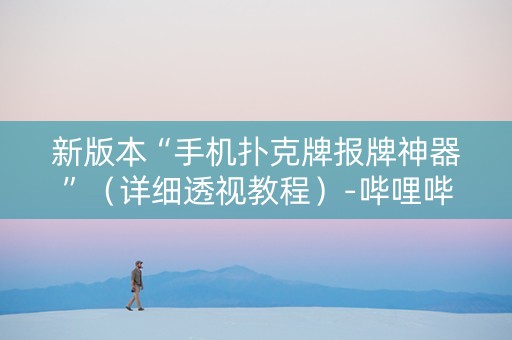 新版本“手机扑克牌报牌神器”（详细透视教程）-哔哩哔哩