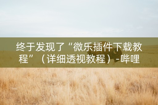 终于发现了“微乐插件下载教程”（详细透视教程）-哔哩哔哩