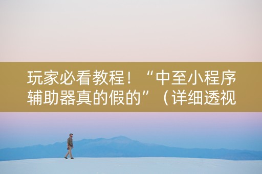 玩家必看教程！“中至小程序辅助器真的假的”（详细透视教程）-哔哩哔哩