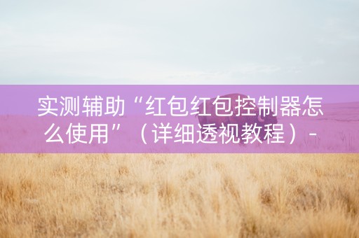 实测辅助“红包红包控制器怎么使用”（详细透视教程）-哔哩哔哩