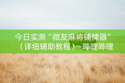 今日实测“微友麻将铺牌器”（详细辅助教程）-哔哩哔哩