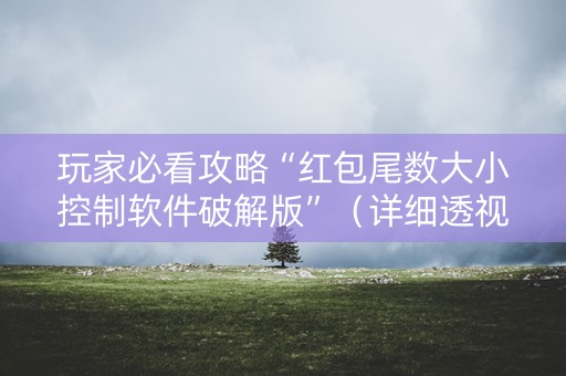 玩家必看攻略“红包尾数大小控制软件破解版”（详细透视教程）-哔哩哔哩