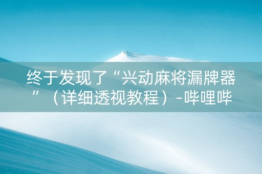 终于发现了“兴动麻将漏牌器”（详细透视教程）-哔哩哔哩