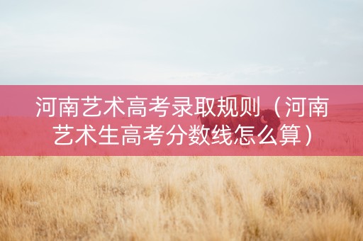 河南艺术高考录取规则（河南艺术生高考分数线怎么算）