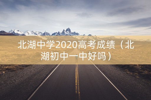 北湖中学2020高考成绩（北湖初中一中好吗）