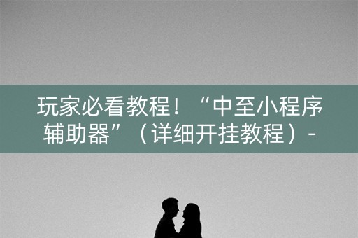 玩家必看教程！“中至小程序辅助器”（详细开挂教程）-哔哩哔哩