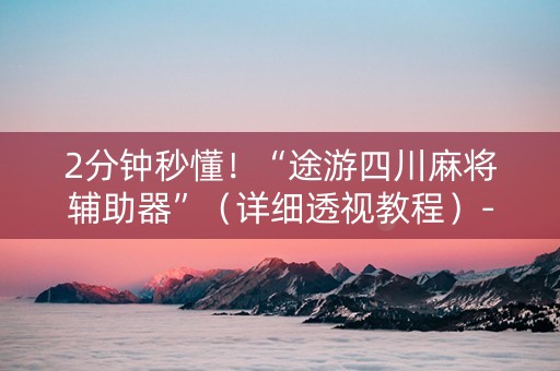 2分钟秒懂！“途游四川麻将辅助器”（详细透视教程）-哔哩哔哩