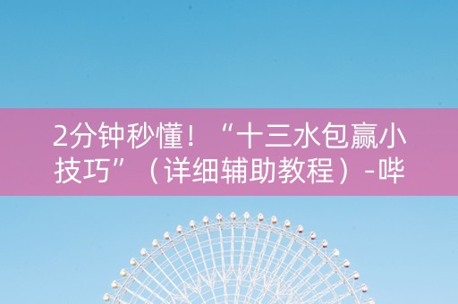 2分钟秒懂！“十三水包赢小技巧”（详细辅助教程）-哔哩哔哩