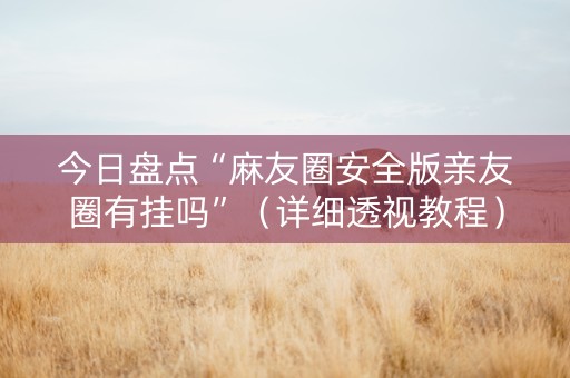 今日盘点“麻友圈安全版亲友圈有挂吗”（详细透视教程）-哔哩哔哩