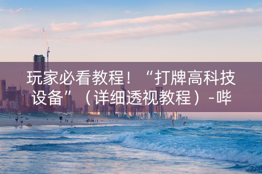 玩家必看教程！“打牌高科技设备”（详细透视教程）-哔哩哔哩