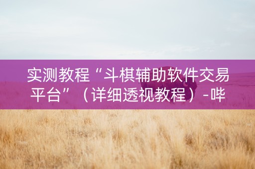 实测教程“斗棋辅助软件交易平台”（详细透视教程）-哔哩哔哩