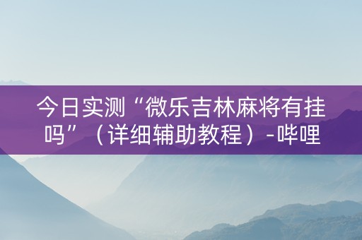 今日实测“微乐吉林麻将有挂吗”（详细辅助教程）-哔哩哔哩