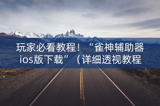 玩家必看教程！“雀神辅助器ios版下载”（详细透视教程）-哔哩哔哩