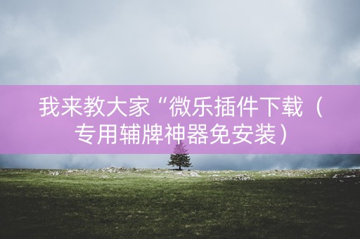 我来教大家“微乐插件下载（专用辅牌神器免安装）