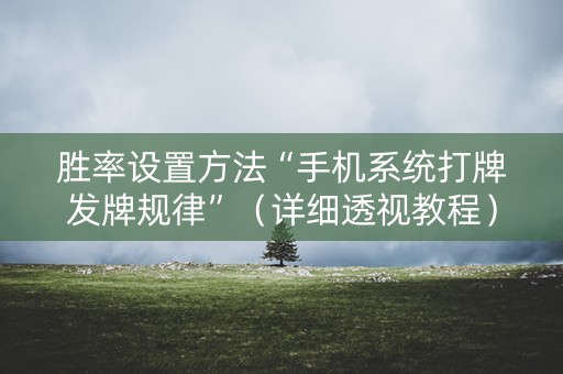 胜率设置方法“手机系统打牌发牌规律”（详细透视教程）-哔哩哔哩