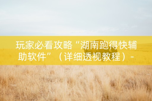 玩家必看攻略“湖南跑得快辅助软件”（详细透视教程）-哔哩哔哩