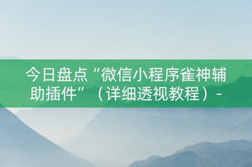 今日盘点“微信小程序雀神辅助插件”（详细透视教程）-哔哩哔哩