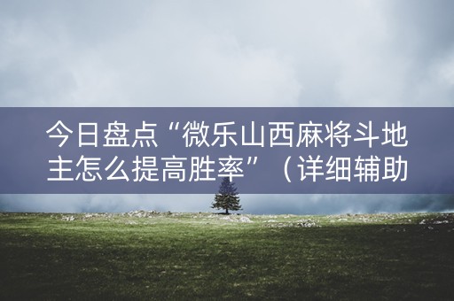 今日盘点“微乐山西麻将斗地主怎么提高胜率”（详细辅助教程）-哔哩哔哩