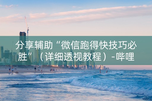 分享辅助“微信跑得快技巧必胜”（详细透视教程）-哔哩哔哩