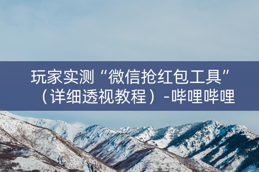 玩家实测“微信抢红包工具”（详细透视教程）-哔哩哔哩