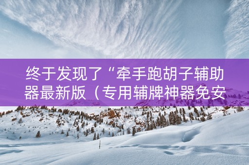 终于发现了“牵手跑胡子辅助器最新版（专用辅牌神器免安装）