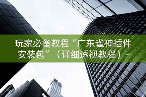 玩家必备教程“广东雀神插件安装包”（详细透视教程）-哔哩哔哩