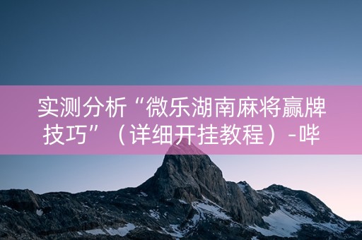 实测分析“微乐湖南麻将赢牌技巧”（详细开挂教程）-哔哩哔哩