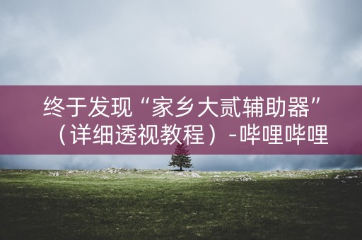 终于发现“家乡大贰辅助器”（详细透视教程）-哔哩哔哩