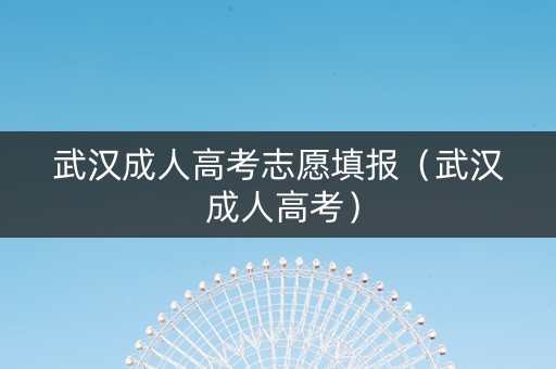 武汉成人高考志愿填报（武汉 成人高考）