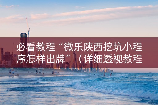 必看教程“微乐陕西挖坑小程序怎样出牌”（详细透视教程）-哔哩哔哩