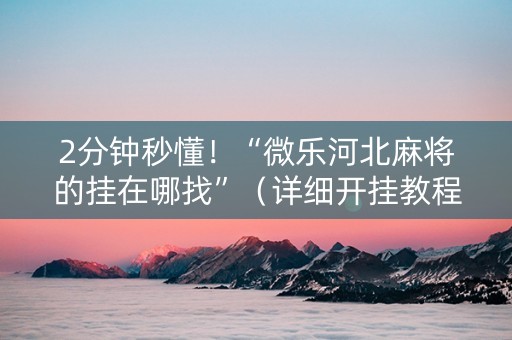 2分钟秒懂！“微乐河北麻将的挂在哪找”（详细开挂教程）-哔哩哔哩