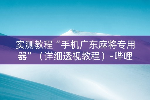 实测教程“手机广东麻将专用器”（详细透视教程）-哔哩哔哩