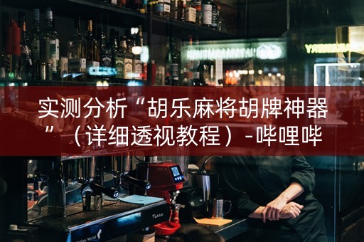 实测分析“胡乐麻将胡牌神器”（详细透视教程）-哔哩哔哩