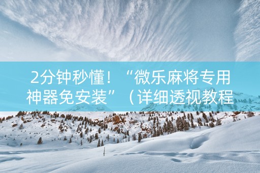 2分钟秒懂！“微乐麻将专用神器免安装”（详细透视教程）-哔哩哔哩
