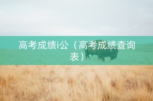 高考成绩i公（高考成绩查询表）