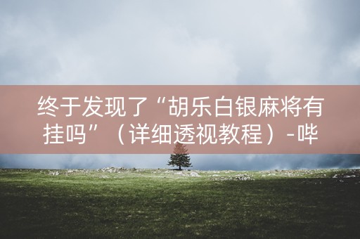 终于发现了“胡乐白银麻将有挂吗”（详细透视教程）-哔哩哔哩