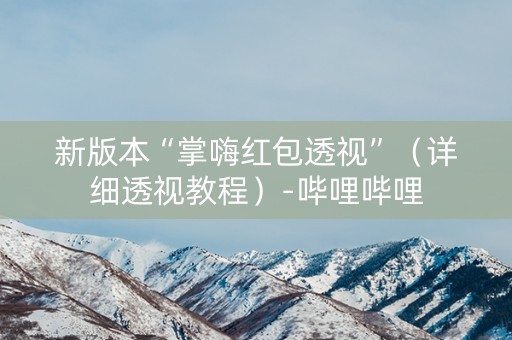 新版本“掌嗨红包透视”（详细透视教程）-哔哩哔哩