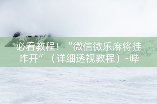必看教程！“微信微乐麻将挂咋开”（详细透视教程）-哔哩哔哩