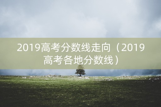 2019高考分数线走向（2019高考各地分数线）