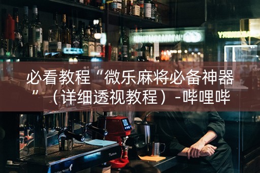 必看教程“微乐麻将必备神器”（详细透视教程）-哔哩哔哩