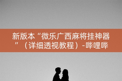 新版本“微乐广西麻将挂神器”（详细透视教程）-哔哩哔哩