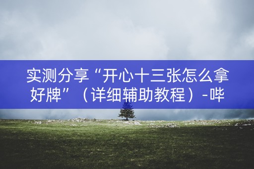 实测分享“开心十三张怎么拿好牌”（详细辅助教程）-哔哩哔哩