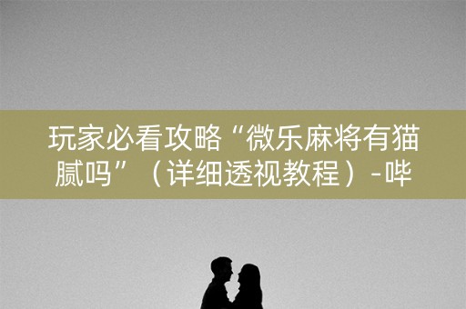 玩家必看攻略“微乐麻将有猫腻吗”（详细透视教程）-哔哩哔哩